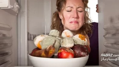 خراب شدن مواد غذایی در یخچال