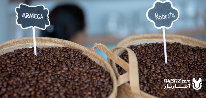 تفاوت قهوه عربیکا و روبوستا در مقاومت