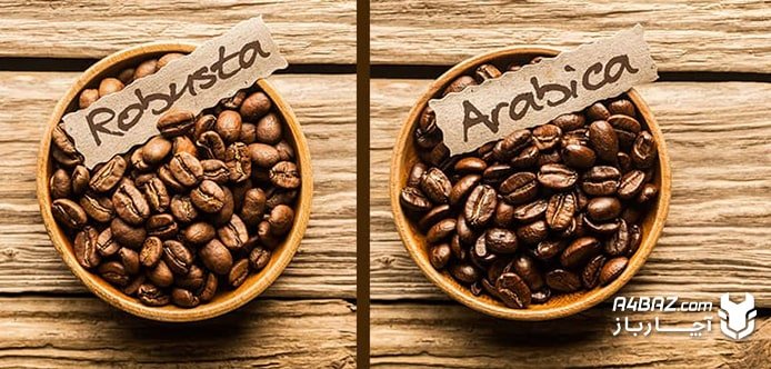 تفاوت قهوه عربیکا و روبوستا از نظر ظاهری