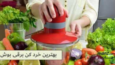 بررسی و معرفی بهترین خردکن بوش